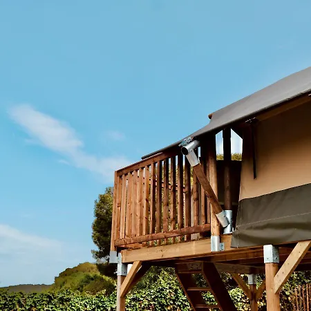 Holacamp Garrofer סיטגס