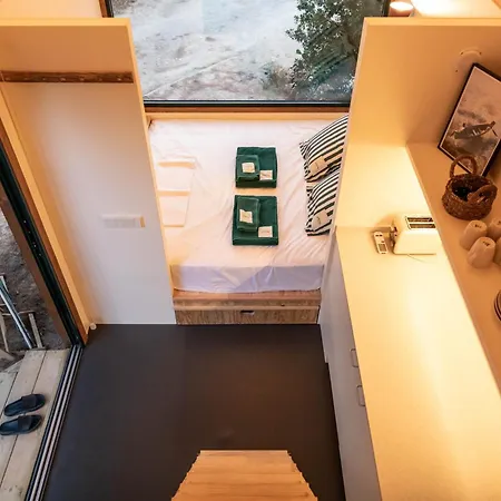 Holacamp Garrofer Kemp