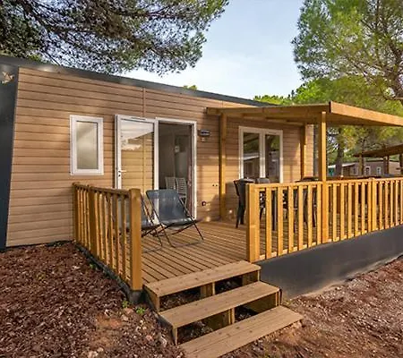 Holacamp Garrofer سيدجيس