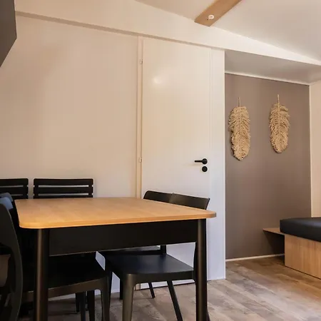 Holacamp Garrofer Σίτζες