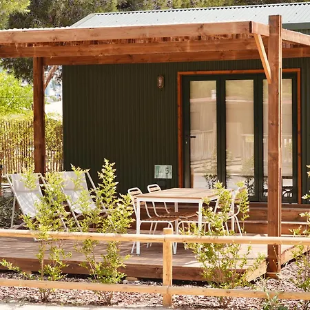 Holacamp Garrofer سيدجيس