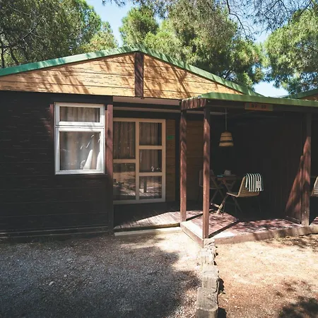 Holacamp Garrofer سيدجيس