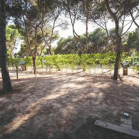 Camping Holacamp Garrofer