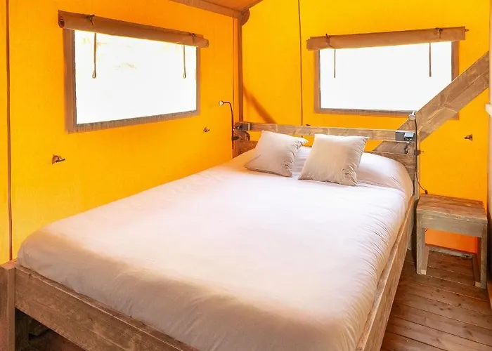 Kemp Holacamp Garrofer