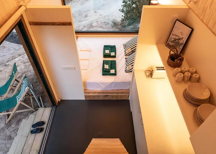 Holacamp Garrofer Kemp