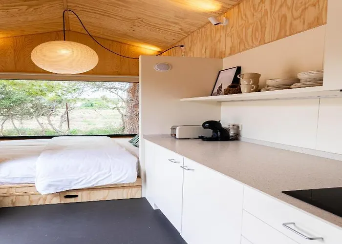 Kemp Holacamp Garrofer 2*